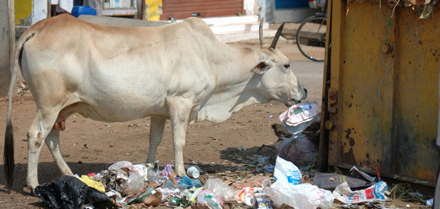 India S Pursuit To Curb Plastic Packaging Waste