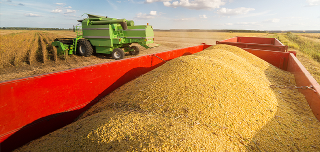 Soybean Crushing Process